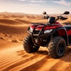 Image 11: Dive into Adventure: VIP Seating, 45-Min Dune Bashing & Falcon Photo