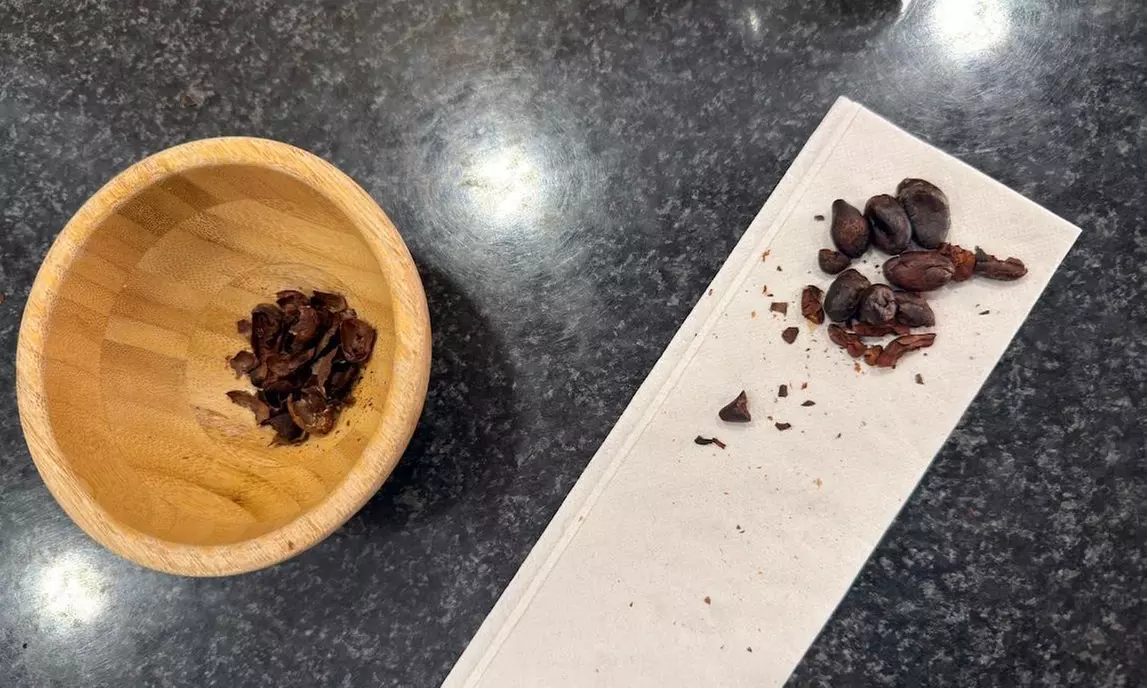 Taller de chocolate Bean to Bar para 1, 2, 4 personas o grupo de 12