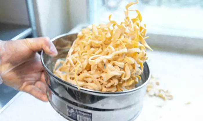 For One: Any Pasta & Any Soft Drink