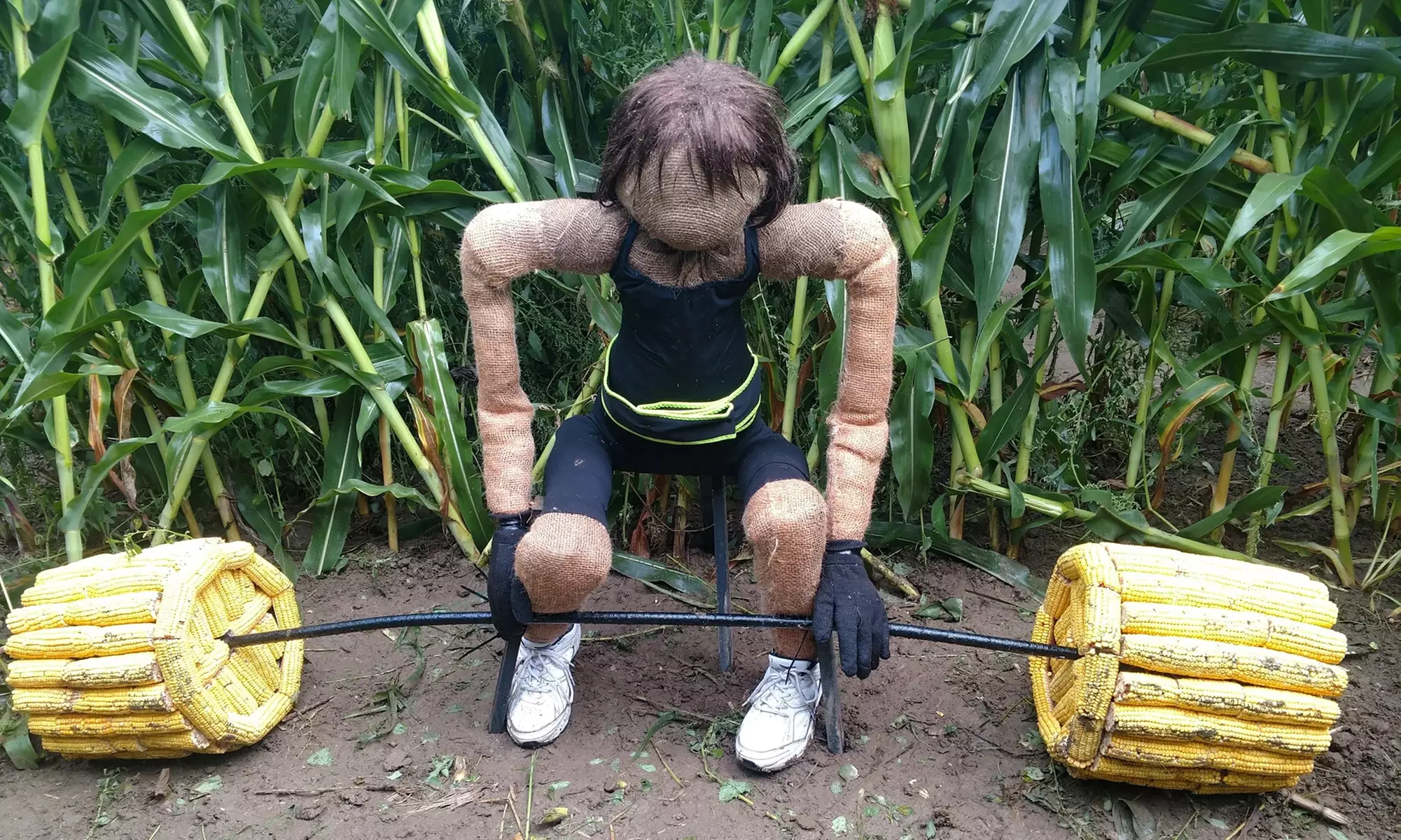 Get Lost in the Corn Maze and Relax by the Communal Fire Pits