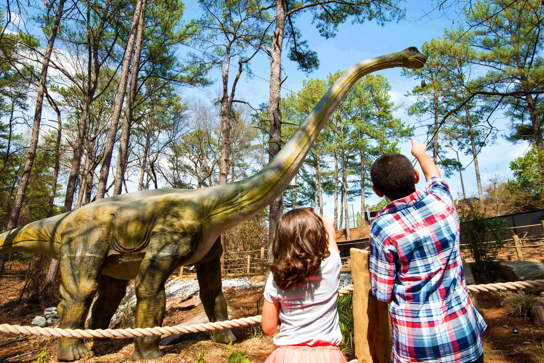 Lakeside Zipline, Aerial Obstacles & Dino Fest at Stone Mountain Park (Save up to 50%)