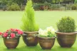Decorative Garden Patio Planters - Image 2
