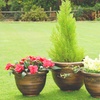 Image 2: Decorative Garden Patio Planters