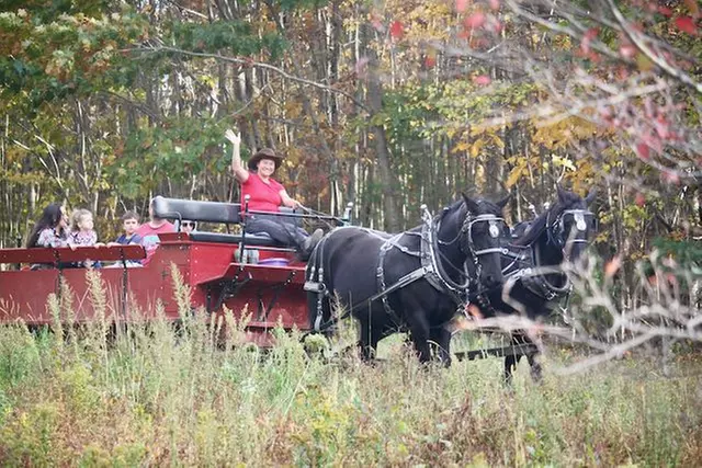 Horse-Drawn Autumn Tour along with Ice Cream Treats