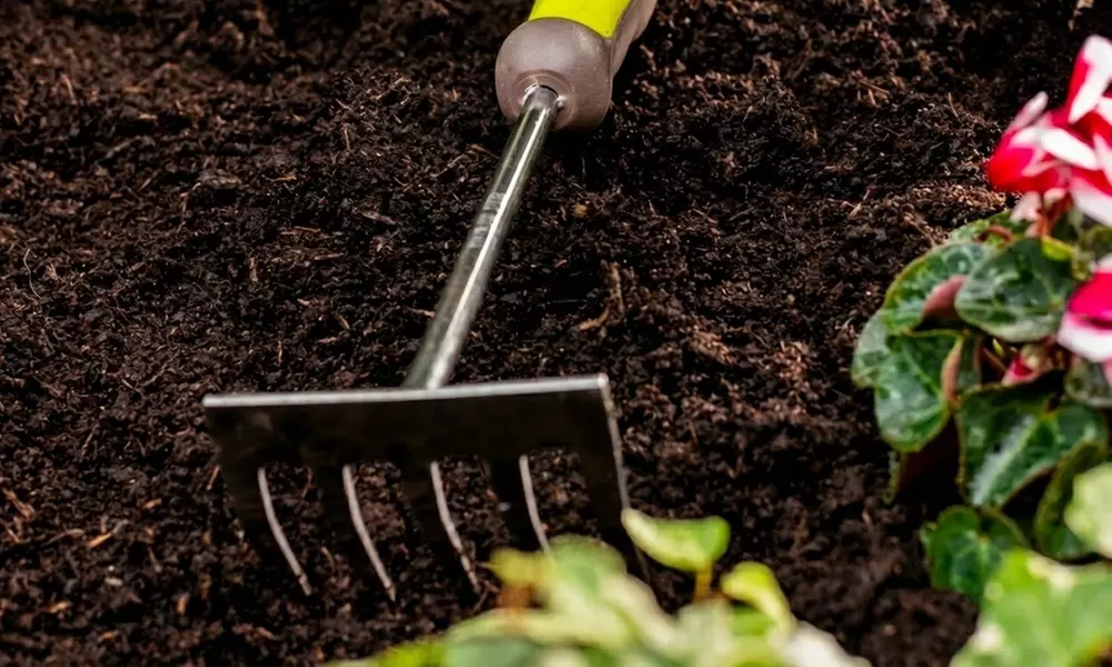 5-Piece Garden Hand Tool Set - Stainless Steel with Soft Grip Handles