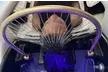 Luxury Scalp Care - Scalp Analysis, Massage, Blowout, and Optional Facial (Up to 30% Off) - Second Medium