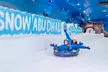 Unlimited Regular Pass or Premium Pass For One Adult to Award-Winning Snow Park in Abu Dhabi (Up to 7% Off) - Image 3