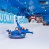 Image 2: Pass For One Adult to Award-Winning Snow Park in Dubai