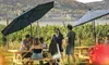 Vintner Guided Wine Tasting: Four Wine Flights with Optional Charcuterie on a Scenic Patio (Up To 42% Off)