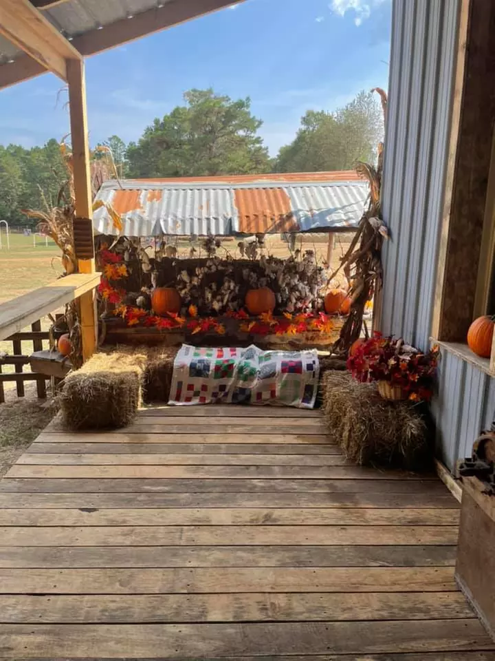 Admission For One, Two, or Four To Pumpkin Patch With Activities!