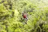 ✈ 8-Day Costa Rica Tour w/Air from Great Value Vacations. Price per Person Based on Double Occupancy