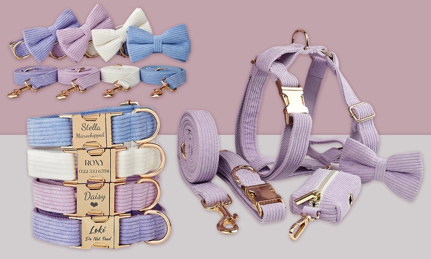Image 10: Personalisierbares Haustier-Halsband mit integriertem Namensschild