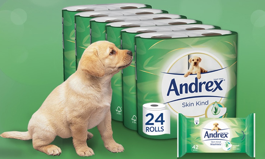 Image 4: Andrex Toilet Paper Rolls