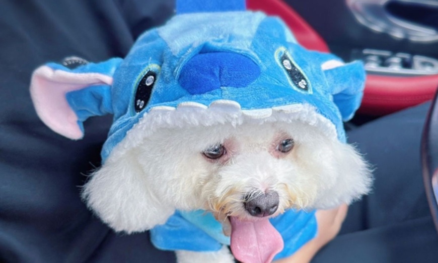 Image 1: Stitch Inspired Pet Hoodies Costume Pajamas Outfit