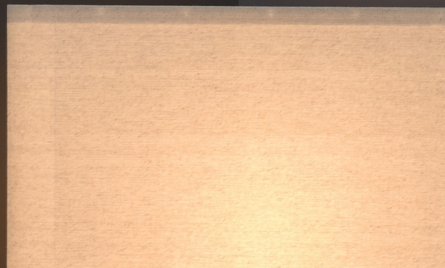 Image 19: HOMCOM Corner Floor Lamp with Shelves