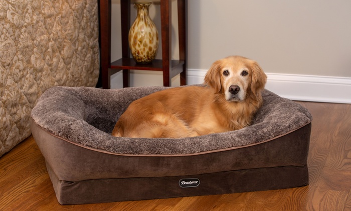 beautyrest ultra plush orthopedic foam pet bed