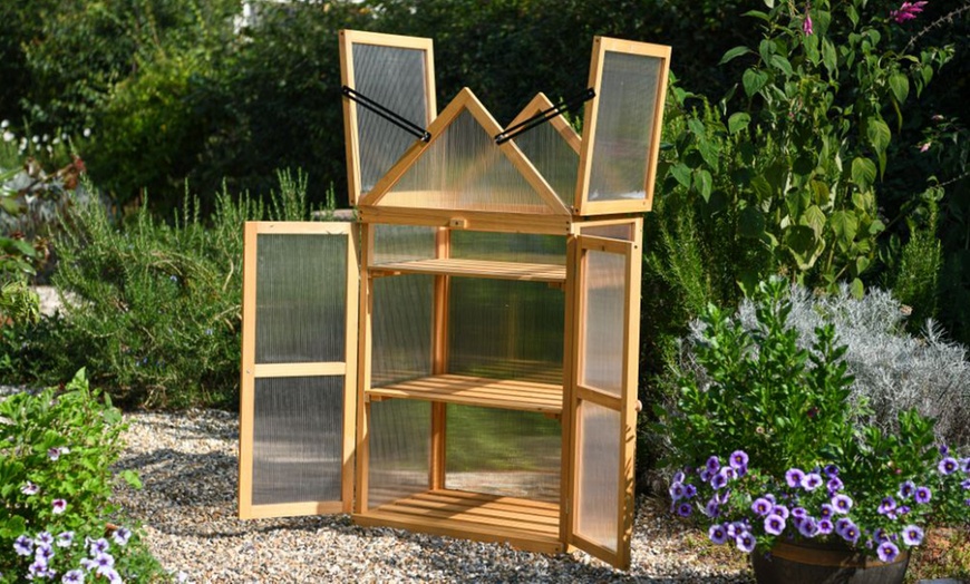 Image 25: Garden Grow Raised Wooden Cold Frame