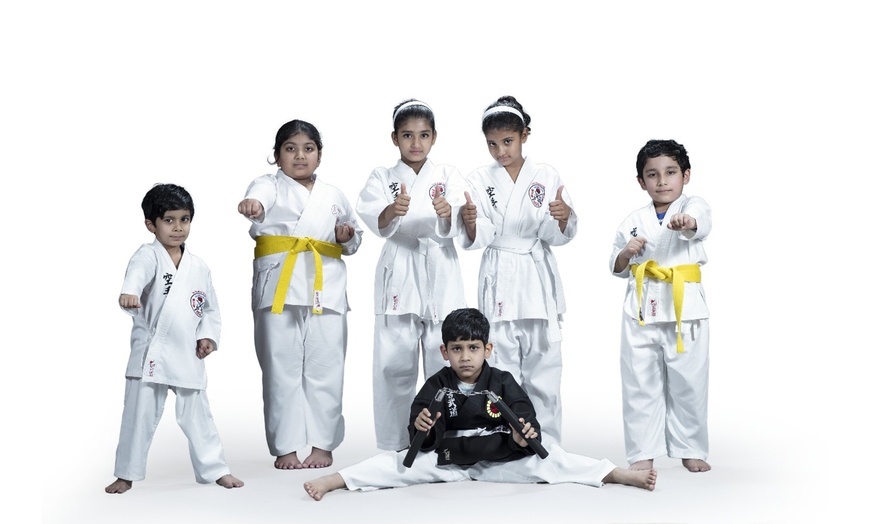 Image 3: 1, 4, or 8 Skill-Building Karate Sessions for Children 5 Years & Older
