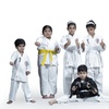 Image 3: 1, 4, or 8 Skill-Building Karate Sessions for Children 5 Years & Older