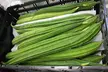 Ten Dollars Off Online Grocery Delivery For Convenient Shopping at Proton Technology LLC - 90% Off - Second Medium