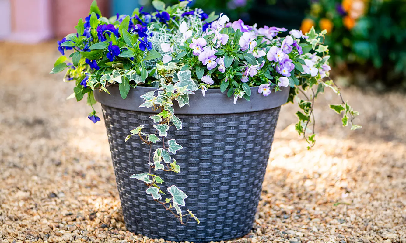 One or Two Wicker Effect Planters - 40cm Diameter, Matte Finish