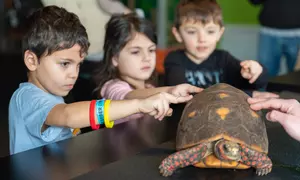 Experience Interactive Science Exhibits at the Liberty Science Center