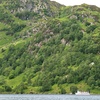 Image 5: 2-Hr Loch Katrine Cruise and Mini Guide Book for One or Family of Four