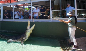 Darwin: Crocodile Cove Entry 