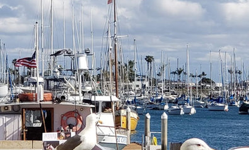 Image 3: Discover Unique Tacos and Craft Beers on This Exciting San Diego Tour