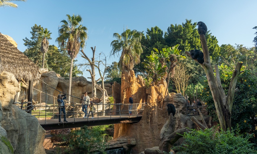 Image 12: Vive un viaje educativo y salvaje con una entrada a Bioparc Fuengirola