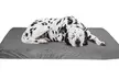 Memory Foam XL Dog Bed 2-Layer Orthopedic Dog Bed Washable Cover  46 x 27 - Second Medium