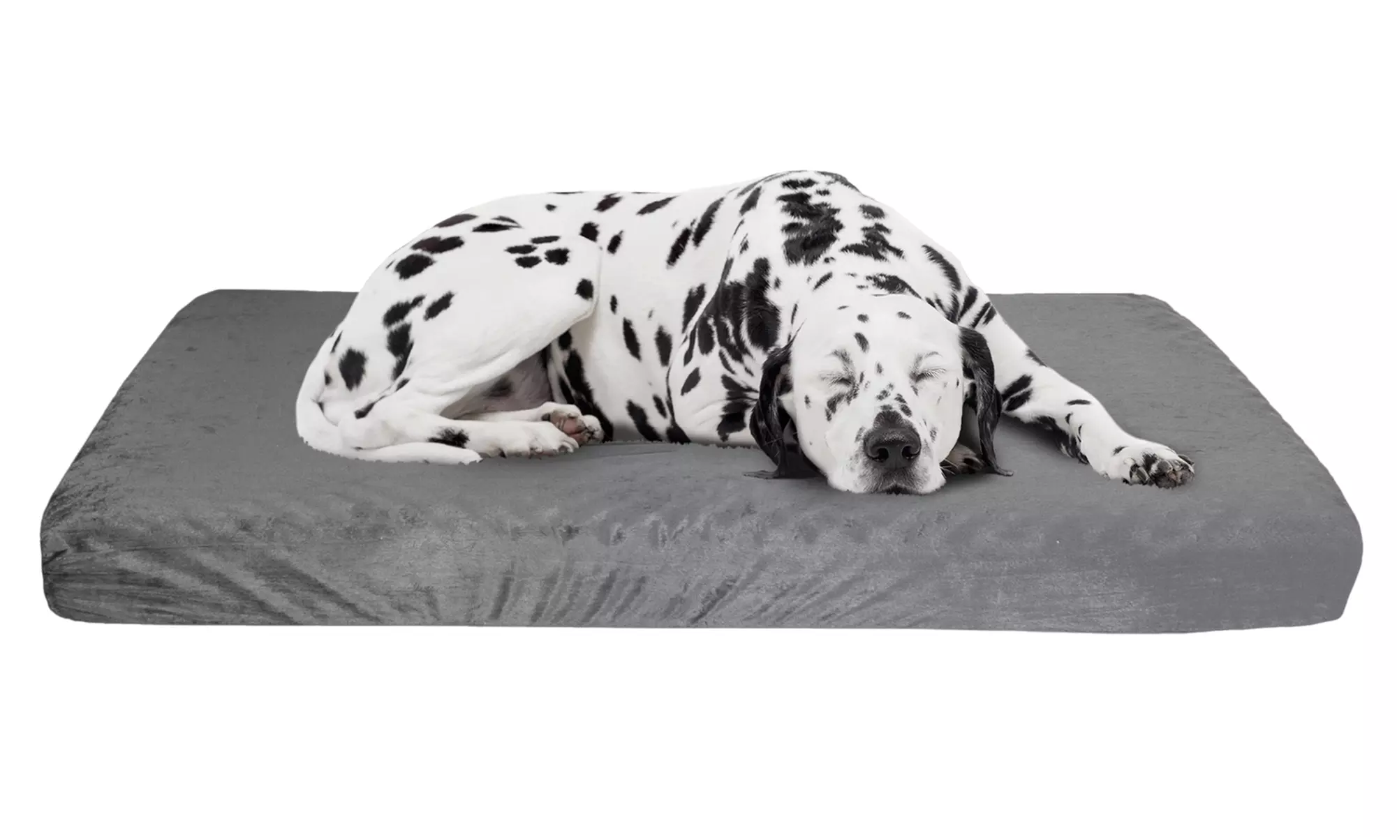 Memory Foam XL Dog Bed 2-Layer Orthopedic Dog Bed Washable Cover  46 x 27