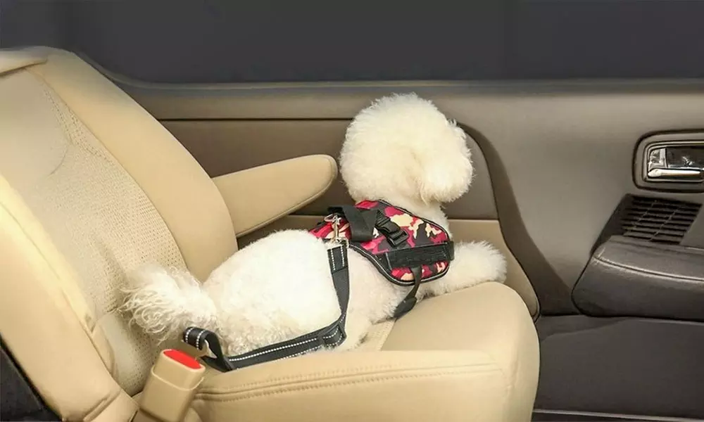 Dogs Seat Belt Vehicle Harness Headrest Restraint Adjustable Puppy Safety