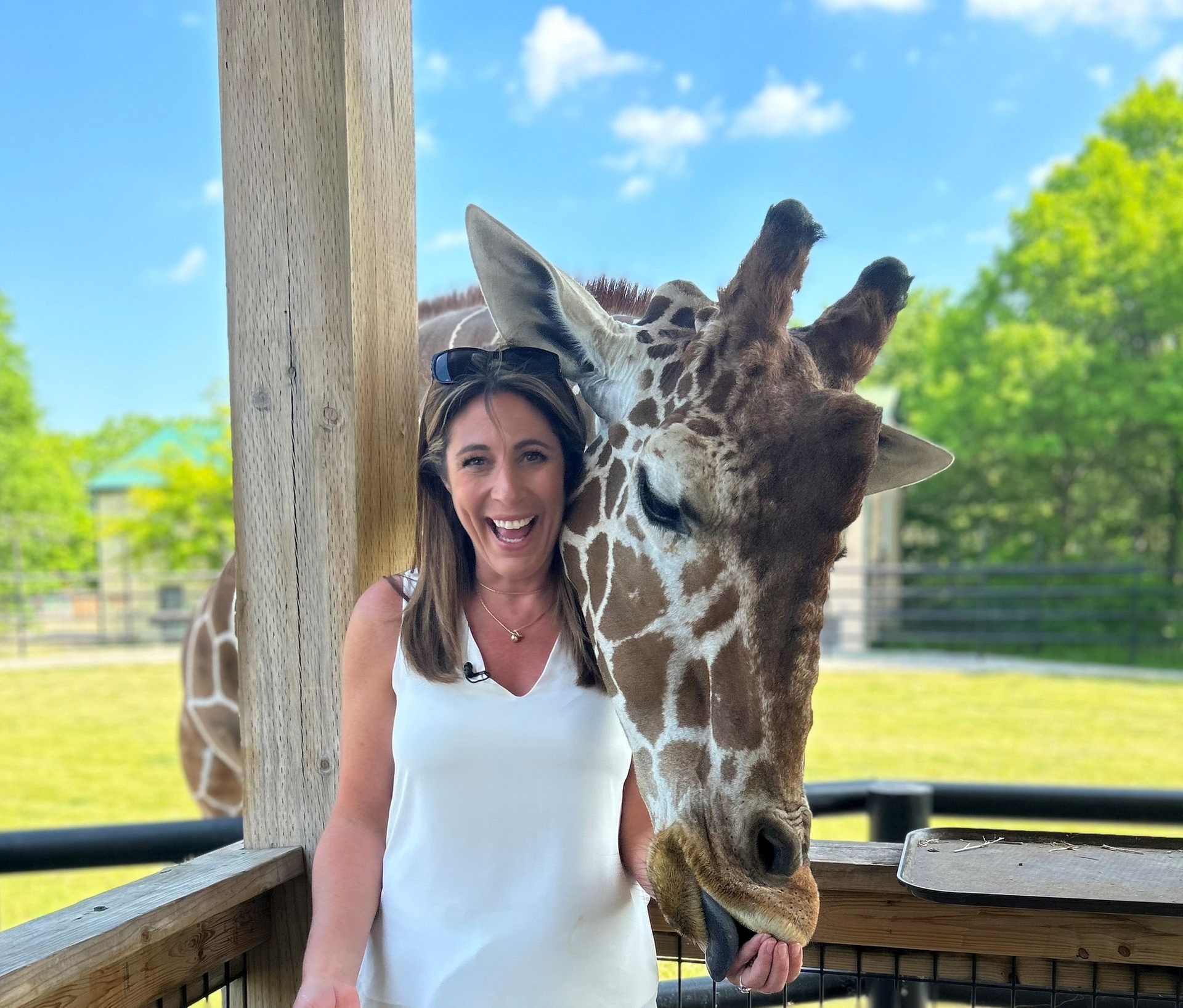 Admission to Safari Niagara (Up to 31% Off)