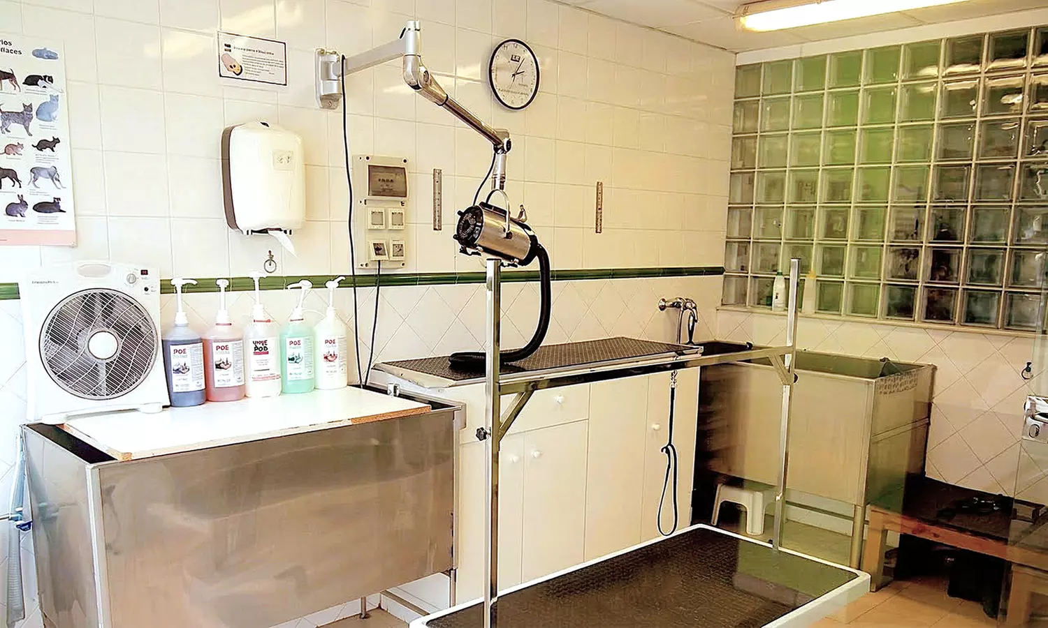 Vacuna para perro o gato en Centre Veterinari Terrassa