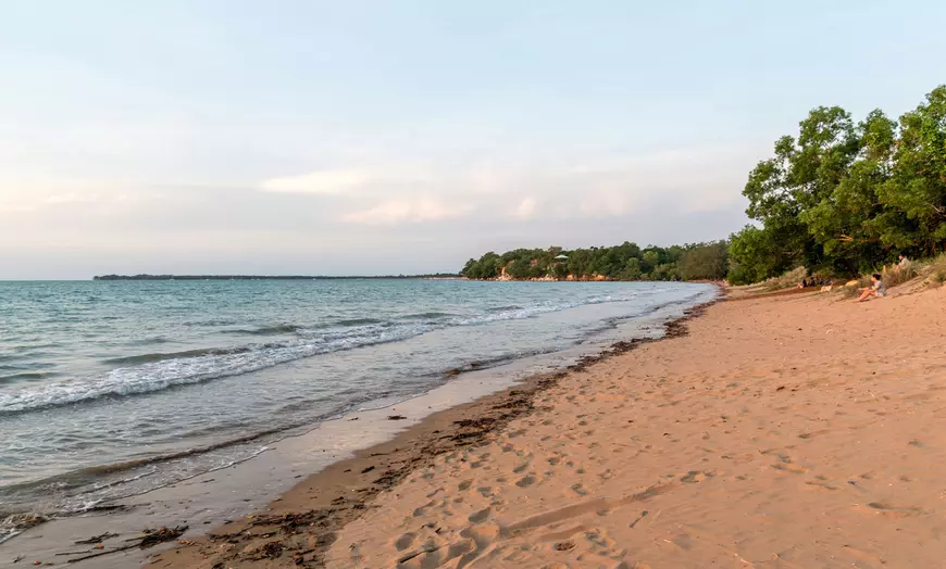 Image 8: Darwin Wildlife Escape: 3 Nights with Wetlands & Crocodile Cruise