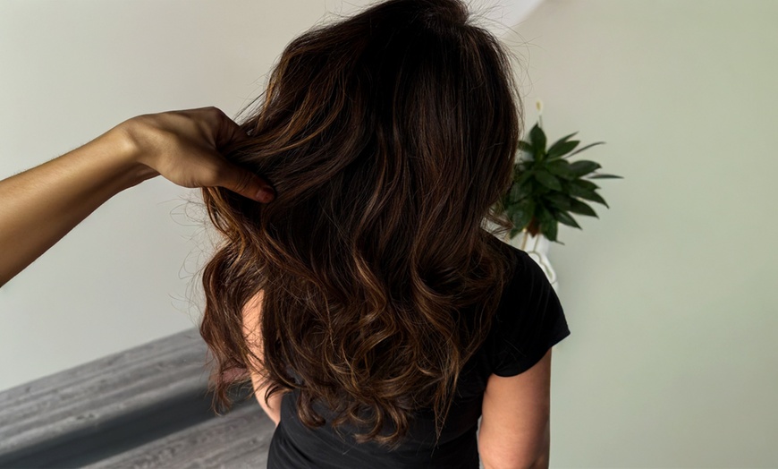 Image 4: Haircut, Deep Conditioning, Highlights, or Balayage Services 