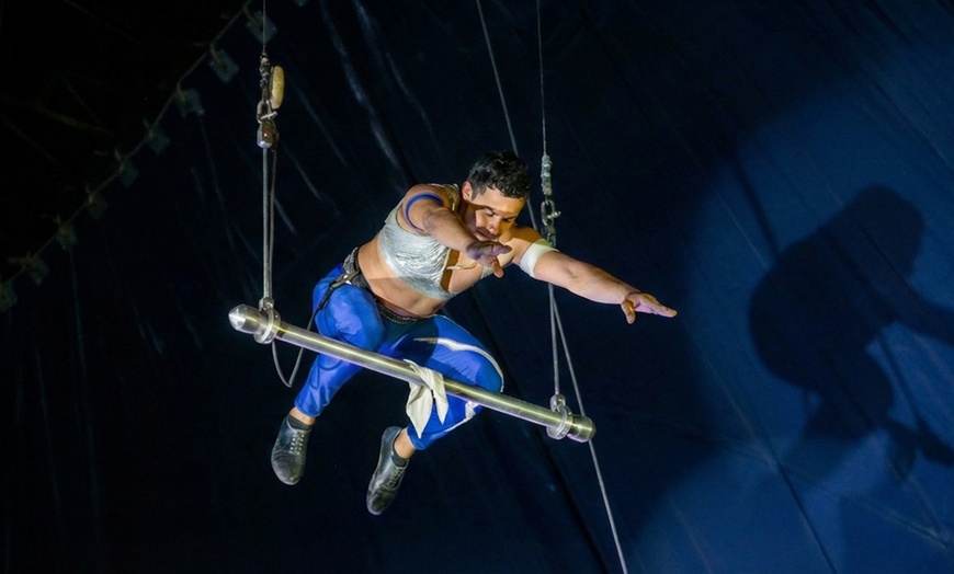 Image 6: Le Cirque Medrano à Mulhouse - du 7 au 15 mars 2026