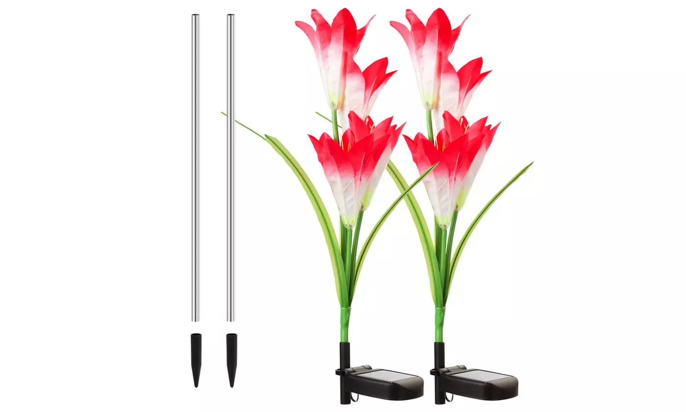2 Pack Solar Garden Lights with Bigger Lily Flowers Color-Changing Outdoor Decor