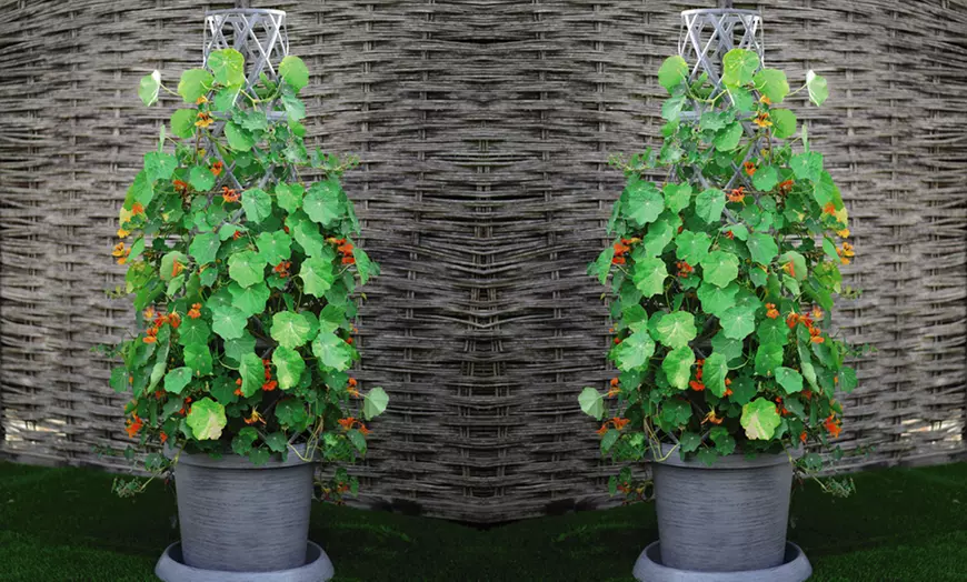 Image 2: 1 or 2 Tower Patio Pot with Trellis - Modern Grey or Black with Gold