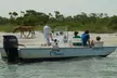 Private Party Back Bay Sunset Cruise or Assateague Island Wildlife & Pony Cruise – Sea Rocket Adventures - Second Medium