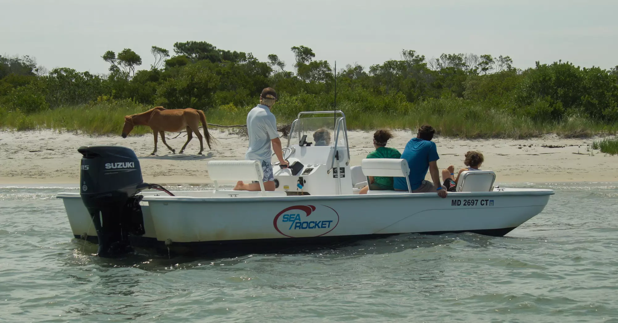 Private Sunset & Wildlife Cruises in Ocean City