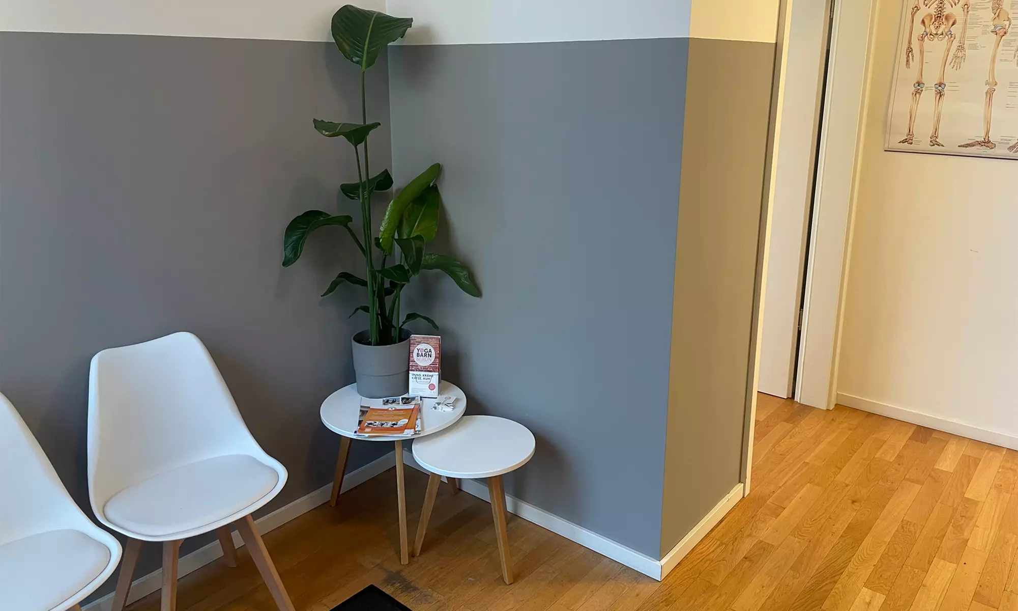 1 oder 2 osteopathischen Behandlungen à 60 Min. für 1 Person