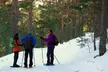 Excursión con raquetas por la Sierra de Guadarrama para 1 o 2 personas, ahorra hasta un 39% - Second Medium