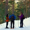 Image 5: Excursión con raquetas por la Sierra de Guadarrama para 1 o 2 personas