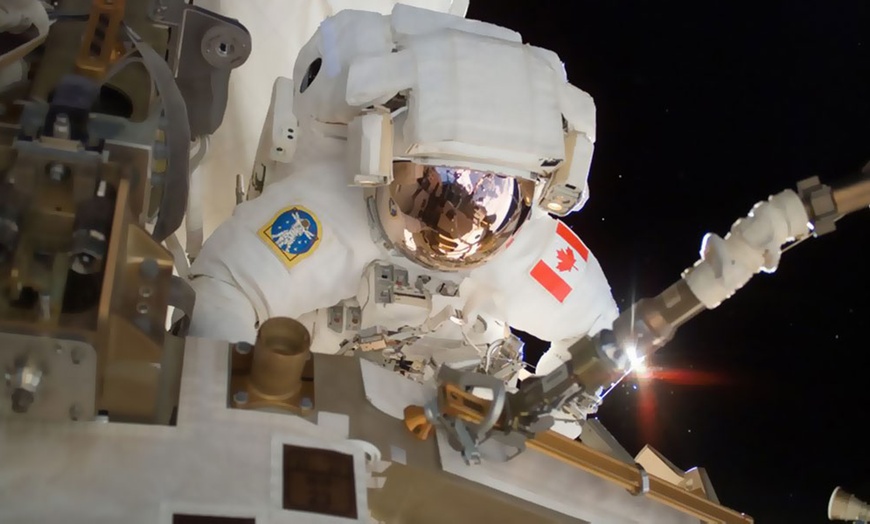 Image 6: Admission for 1/2 Adults & 1/2  Children or 1 Year Membership Access  