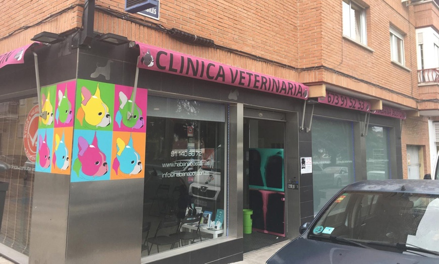 Image 7: Vacunas y consultas para perros y gatos con revisión y desparasitación