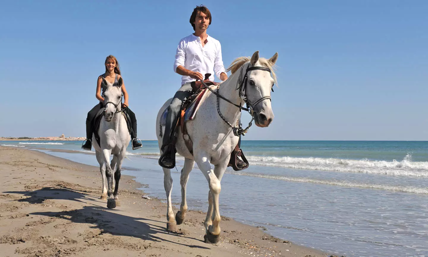 One Hour Beach Horse Riding Experiences at Al Sultan Equestrian Club - Primary Image