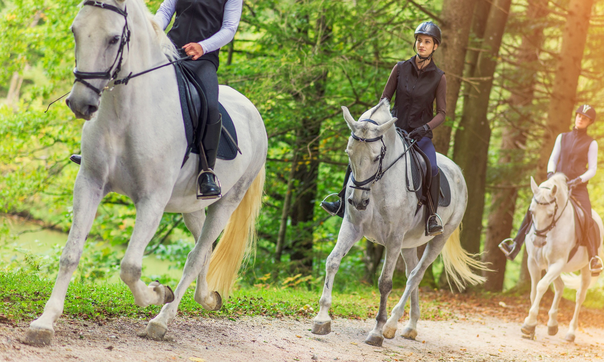 Balade à cheval en forêt dans l'Eure