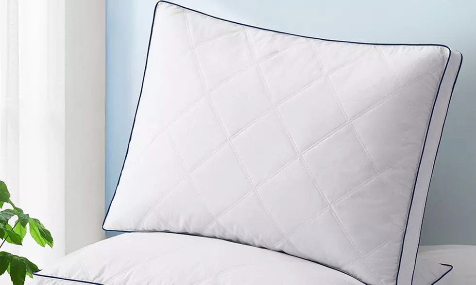 Peace Nest 2 Pack Quilted Goose Feather Down Pillow with Cotton Fabric